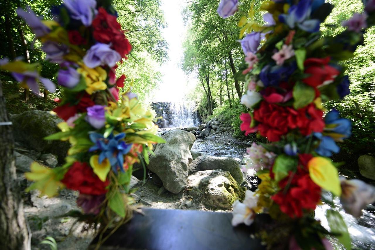 Naturkoy Sapanca Sakarya  Bagian luar foto