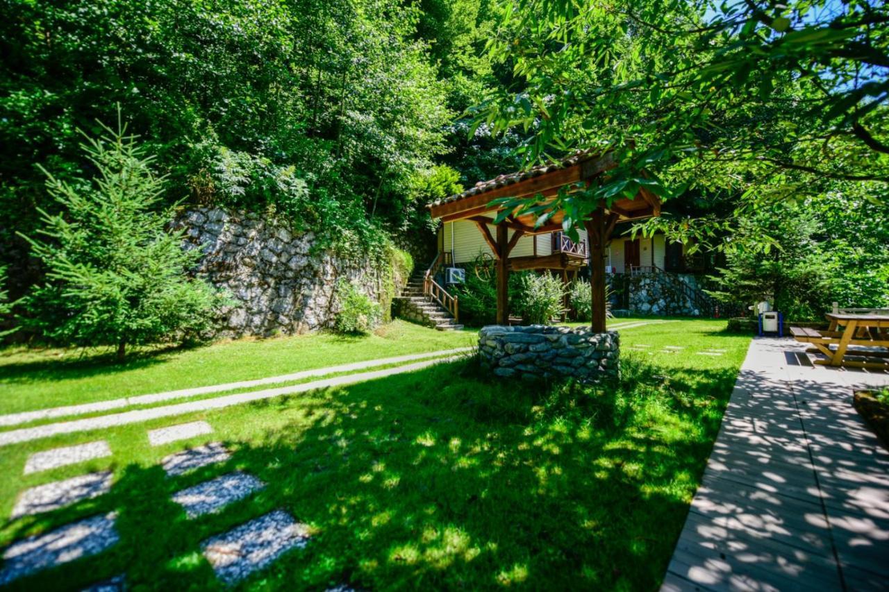 Naturkoy Sapanca Sakarya  Bagian luar foto