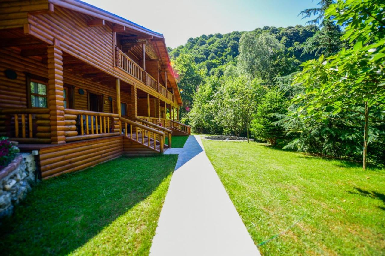 Naturkoy Sapanca Sakarya  Bagian luar foto