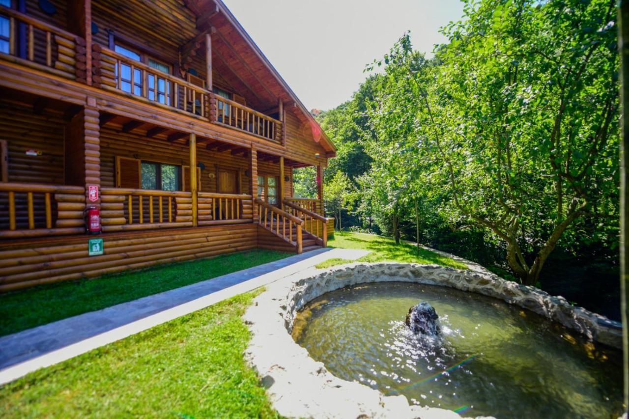 Naturkoy Sapanca Sakarya  Bagian luar foto