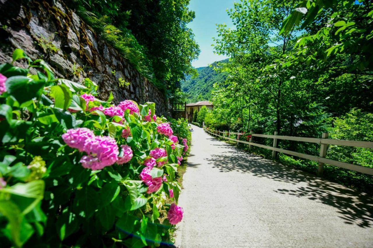 Naturkoy Sapanca Sakarya  Bagian luar foto