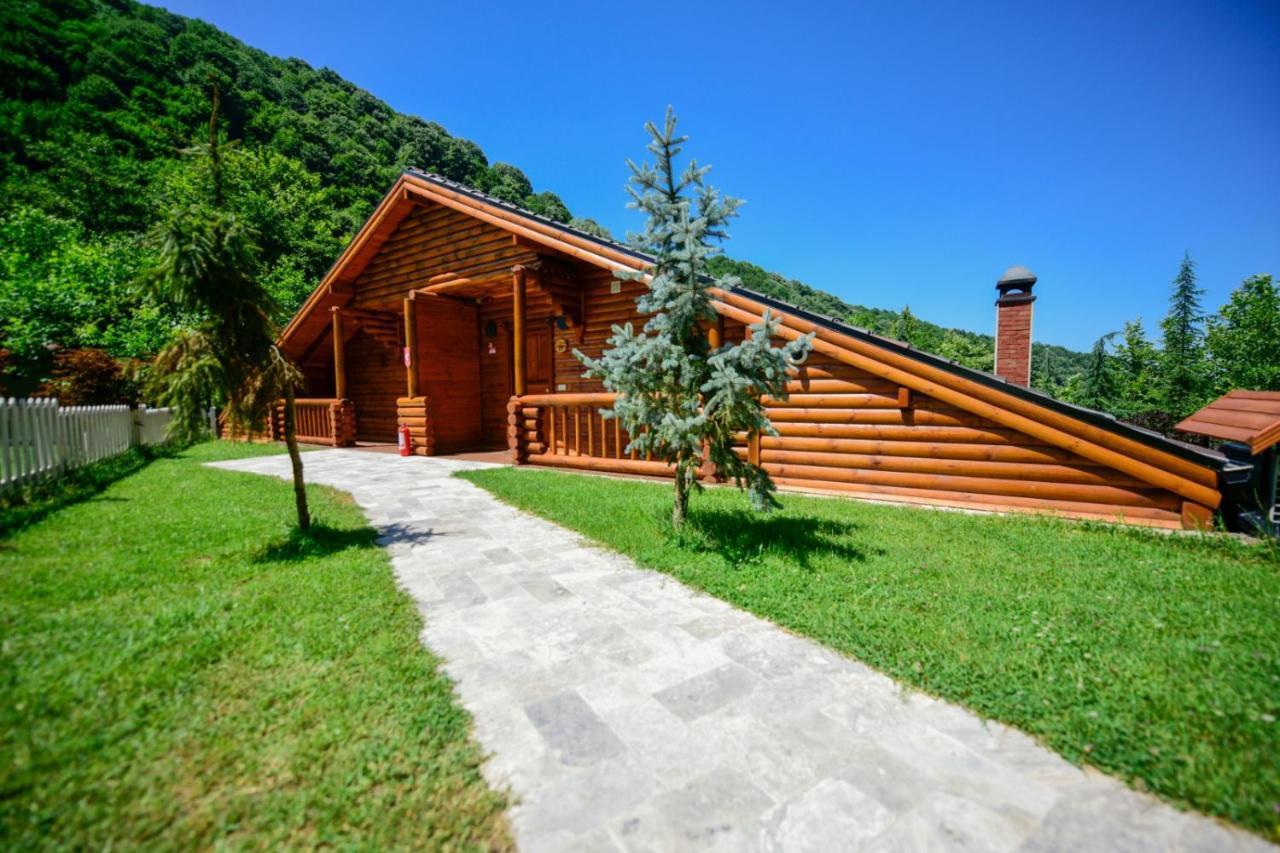 Naturkoy Sapanca Sakarya  Bagian luar foto