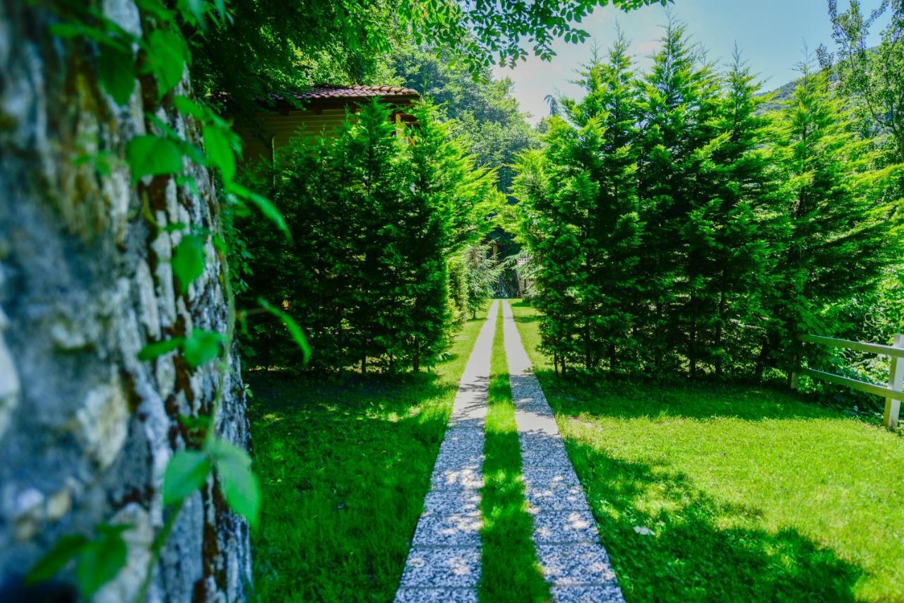 Naturkoy Sapanca Sakarya  Bagian luar foto