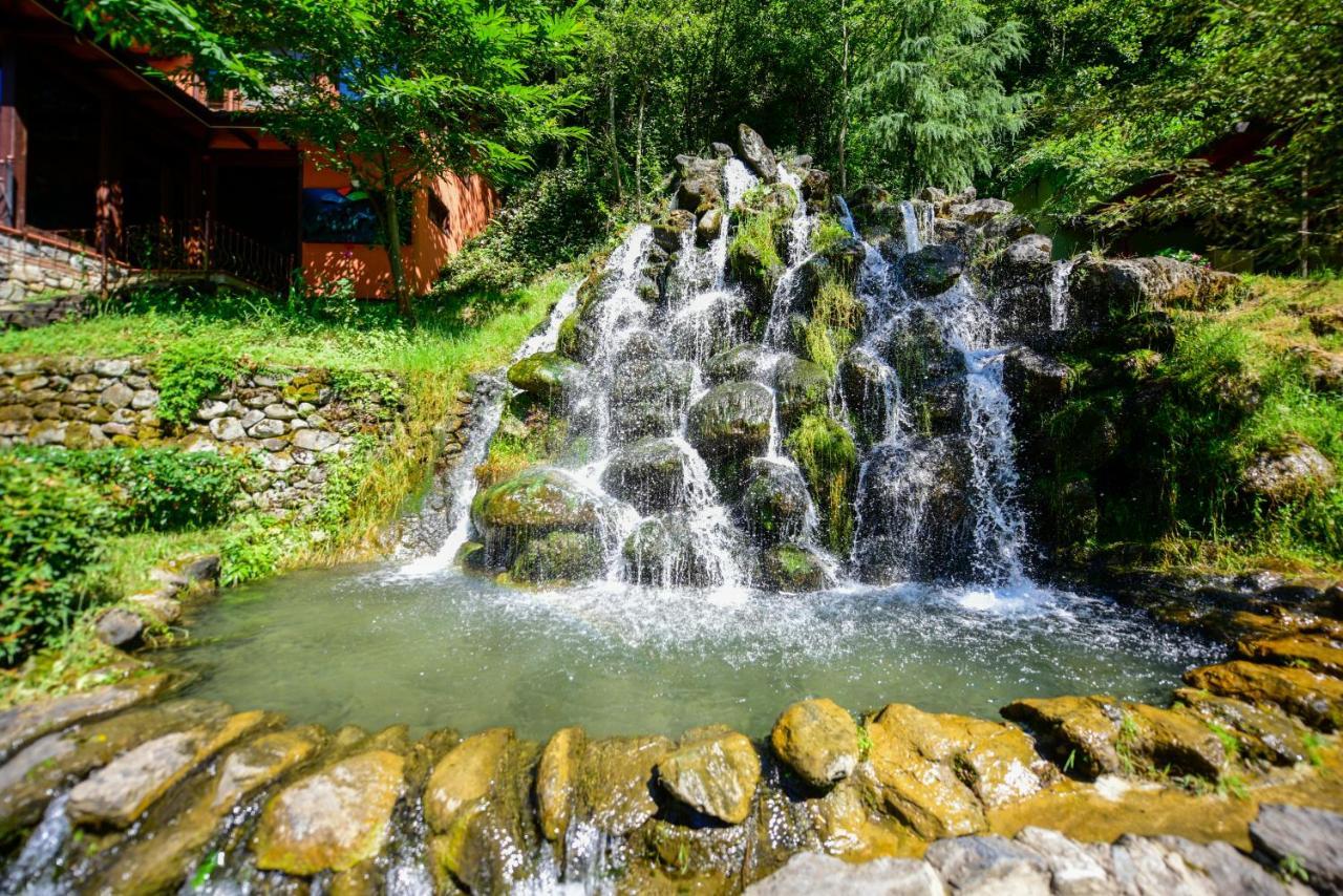Naturkoy Sapanca Sakarya  Bagian luar foto