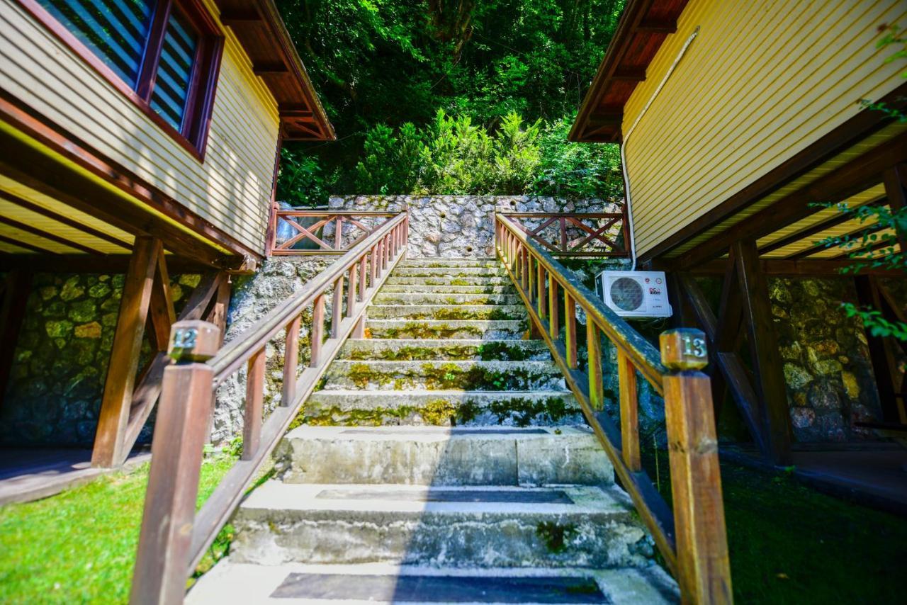 Naturkoy Sapanca Sakarya  Bagian luar foto
