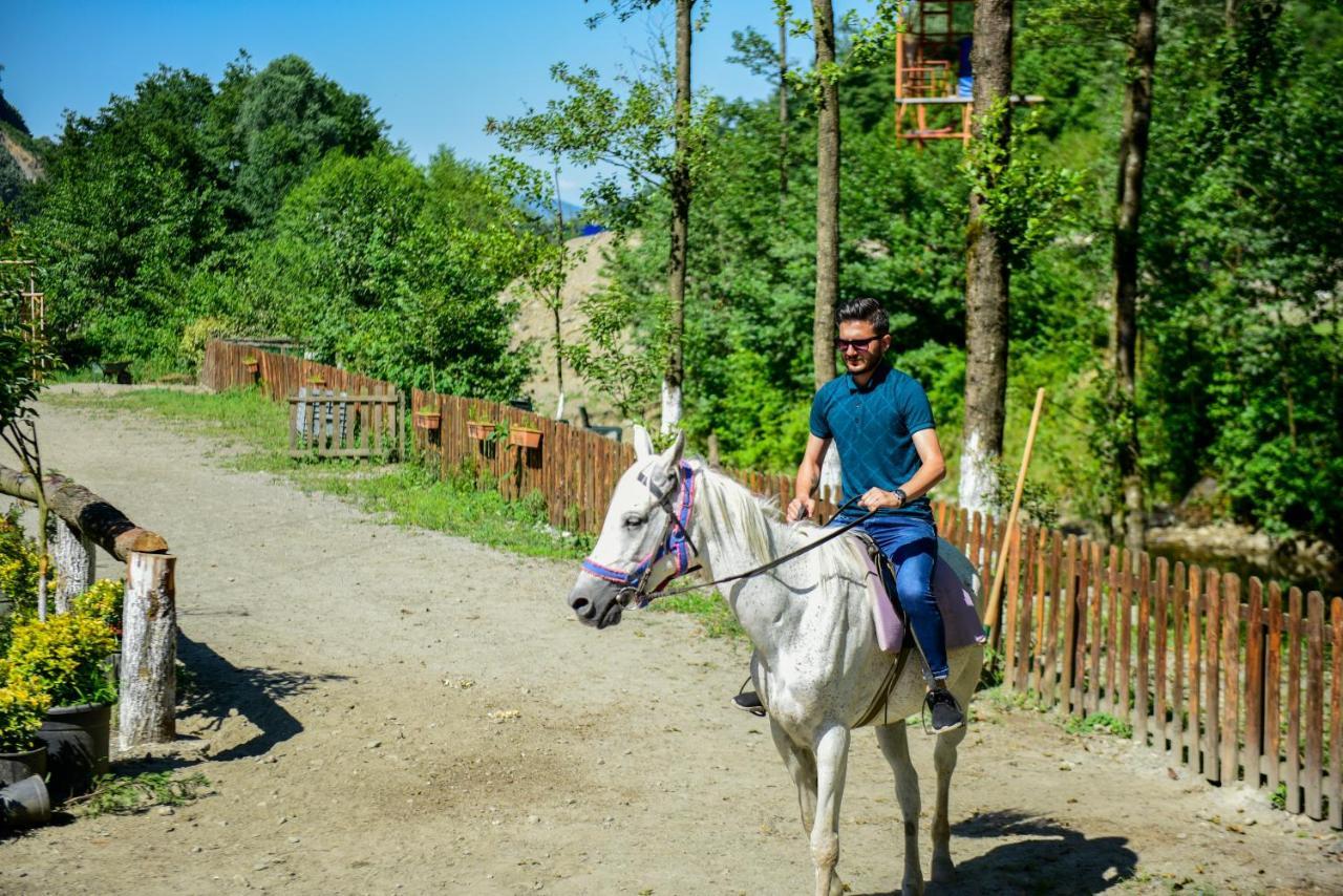 Naturkoy Sapanca Sakarya  Bagian luar foto